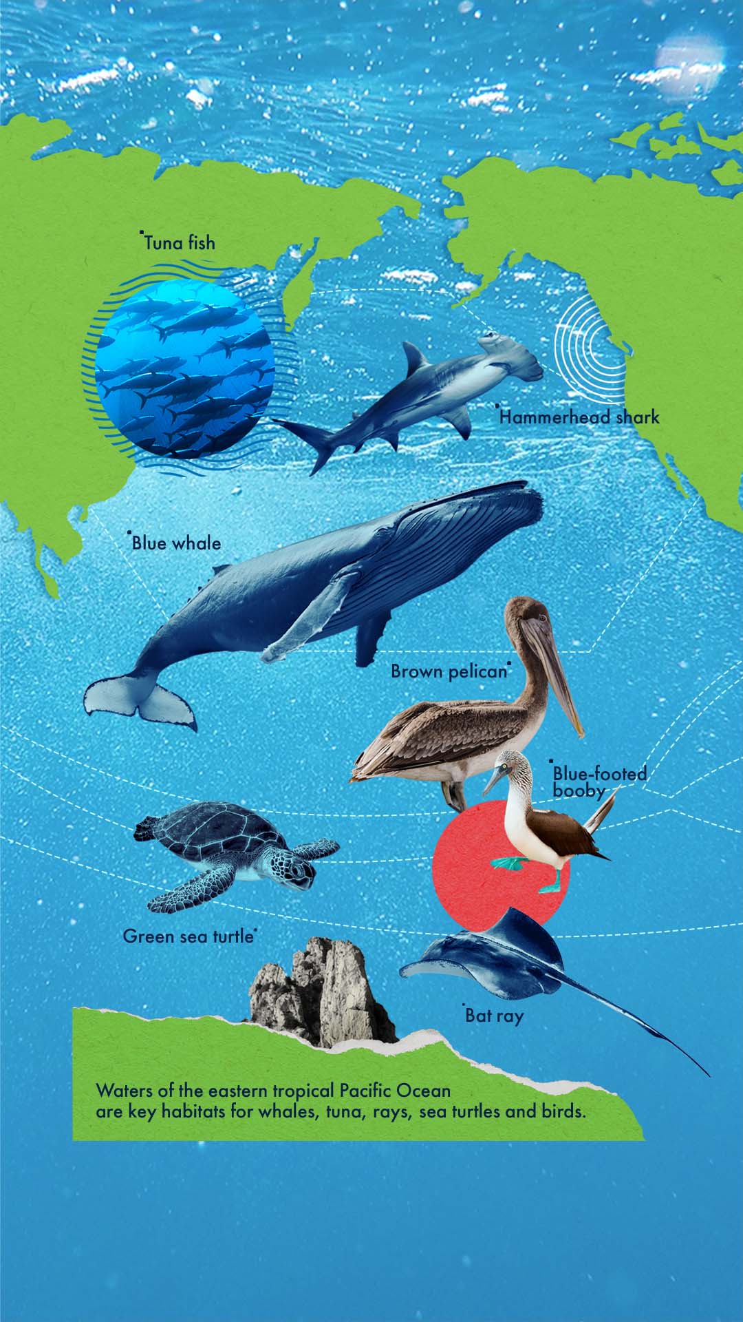 Observation of the Coastal Areas, Estuaries and Deltas from